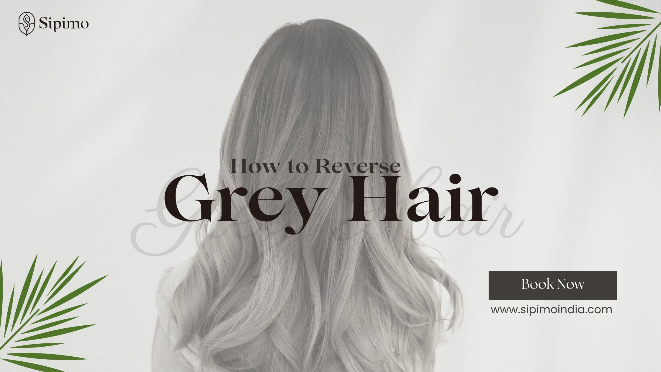 Read more about the article How to Reverse Grey Hair Naturally: Understanding the Real Cause and the Right Treatment Approach